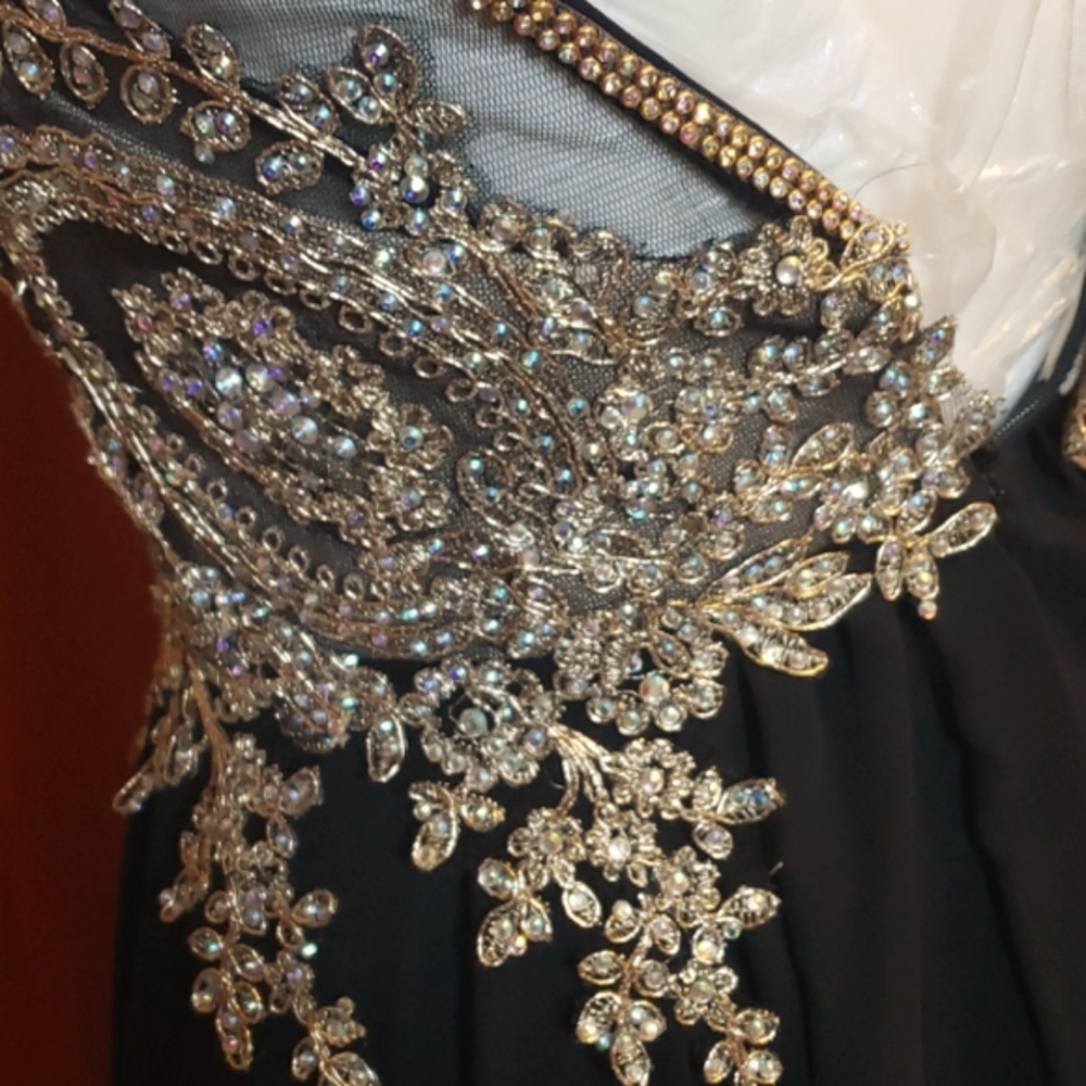 Cluster Sequin Embellished Bodice Flowy Chiffon Go - Picture 13 of 16